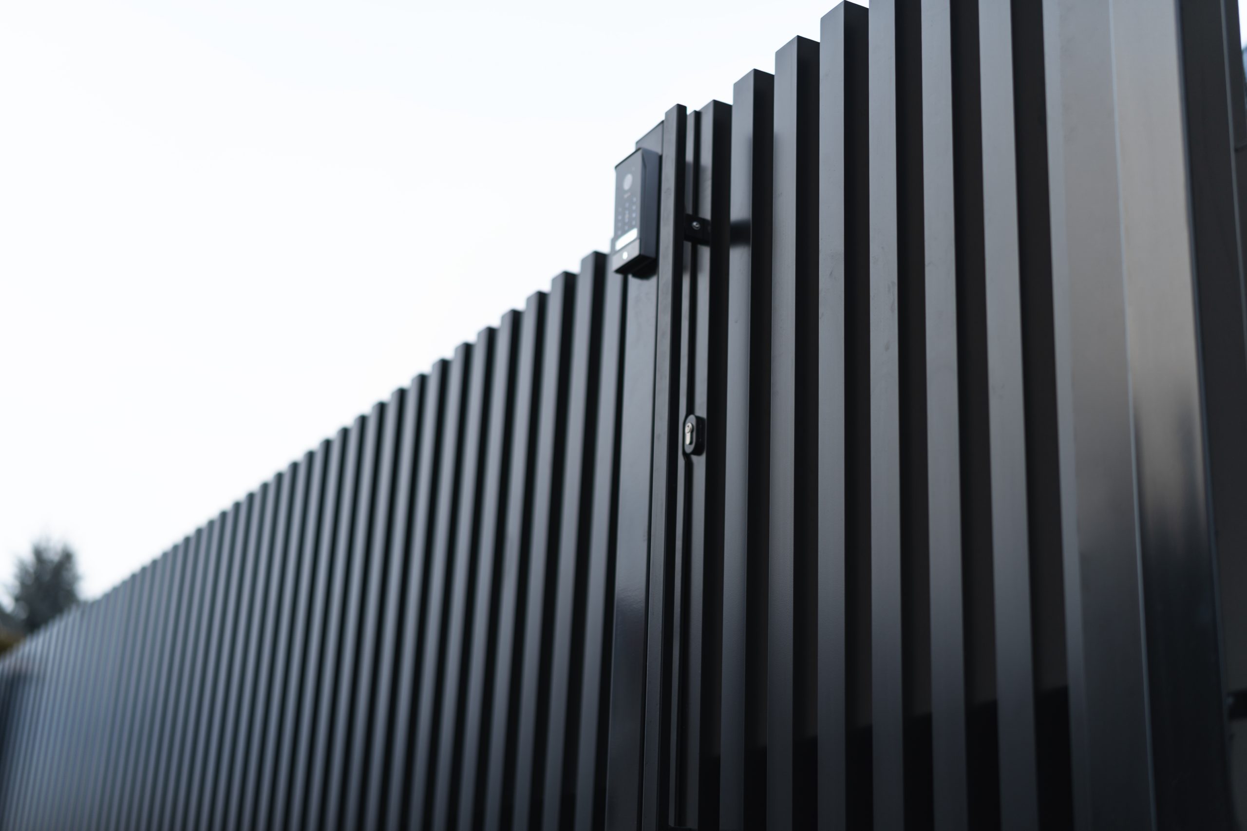 PALISAR - obrazek 39